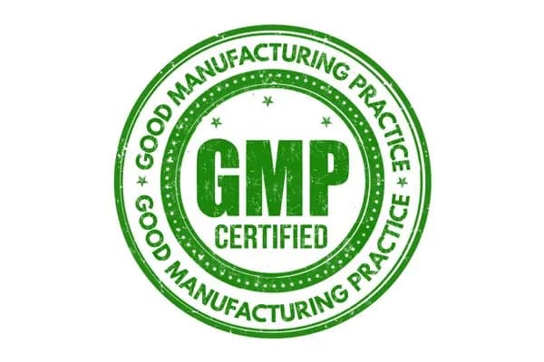 GMP چیست؟