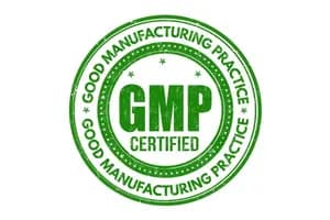 GMP چیست؟